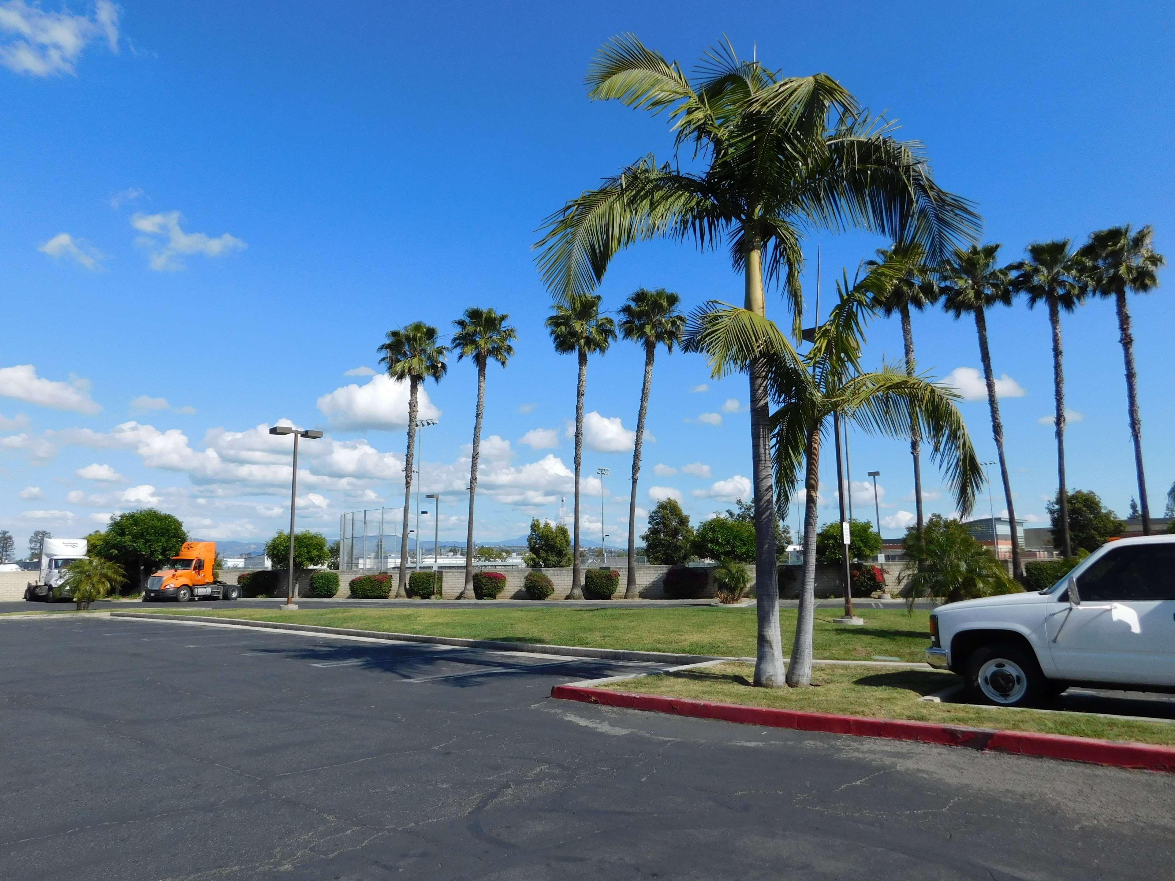 Best Western Plus - Anaheim Orange County Hotel Placentia Eksteriør billede